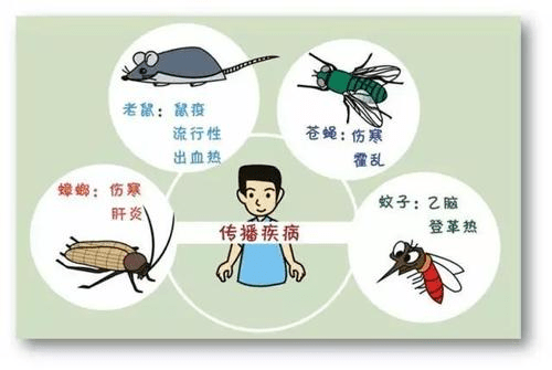 病媒生物防制之除“四害”