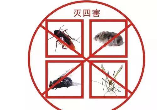 病媒生物防治知识